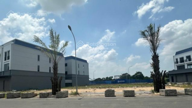 Ảnh đại diện