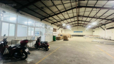 Ảnh đại diện