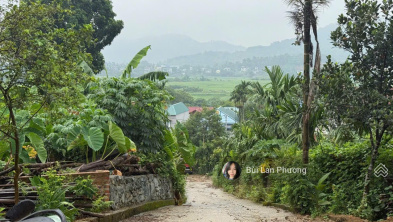 Ảnh đại diện