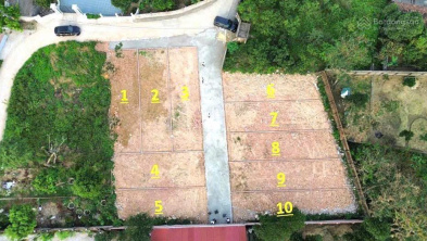 Ảnh đại diện
