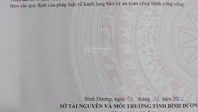 Ảnh đại diện