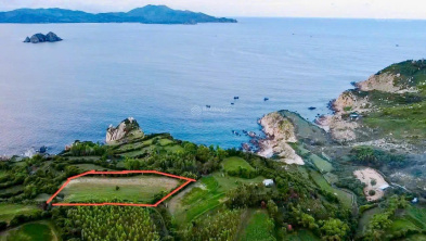 Ảnh đại diện