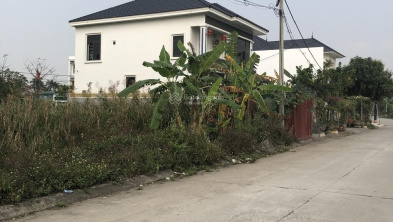 Ảnh đại diện