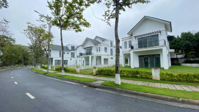 Ảnh đại diện