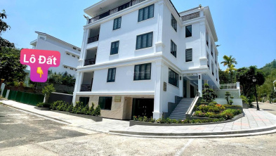 Ảnh đại diện