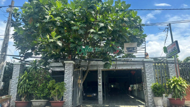 Ảnh đại diện