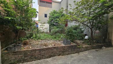 Ảnh đại diện
