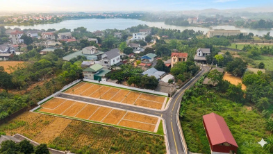Ảnh đại diện