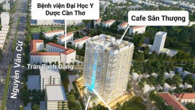 Ảnh đại diện