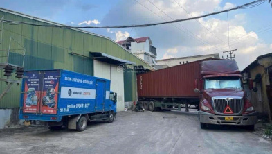 Ảnh đại diện