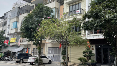 Ảnh đại diện