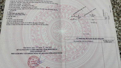 Ảnh đại diện
