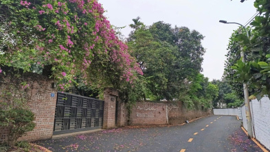 Ảnh đại diện