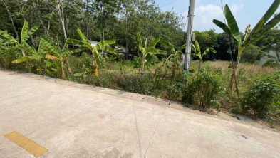 1
            
            
        
        
            
                
                    
                            
                        Chính chủ gửi bán đất Tân Thành 56 full thổ cư (708.5m² ngang 12m đất rộng đẹp)
                    
                
                
                    9,65 tỷ
                        ·708,5 m²
                    
                
                
                    
                    H. Bắc Tân Uyên (X. Bắc Tân Uyên mới)
                
                
                
                                            
                                
            Đăng hôm nay