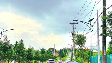 Ảnh đại diện
