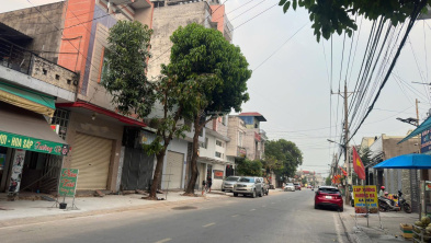 Ảnh đại diện