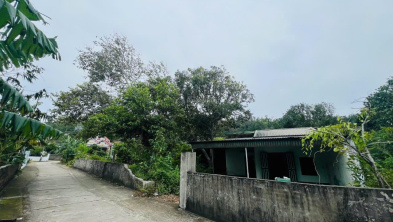 Ảnh đại diện