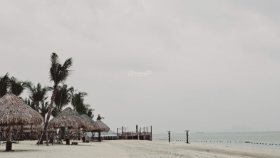 Ảnh đại diện