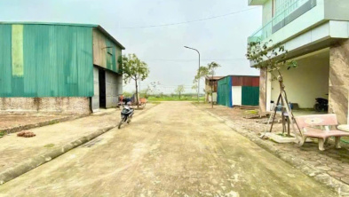 Ảnh đại diện