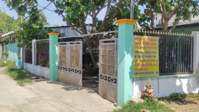 Ảnh đại diện