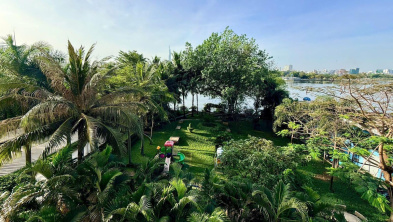 Ảnh đại diện