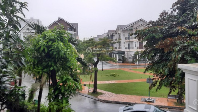 Ảnh đại diện