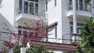 Ảnh đại diện