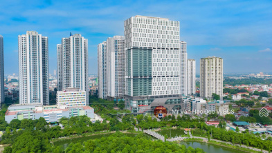 Ảnh đại diện
