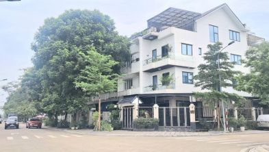 Ảnh đại diện