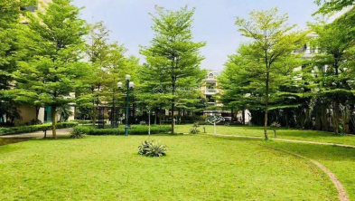 Ảnh đại diện