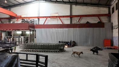 Ảnh đại diện