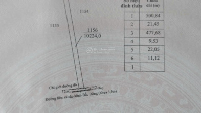Ảnh đại diện
