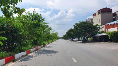 Ảnh đại diện