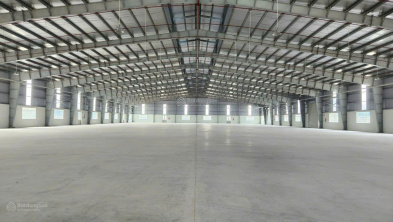 Ảnh đại diện
