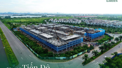 Ảnh đại diện