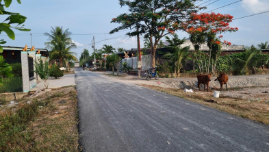 Ảnh đại diện
