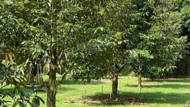 Ảnh đại diện