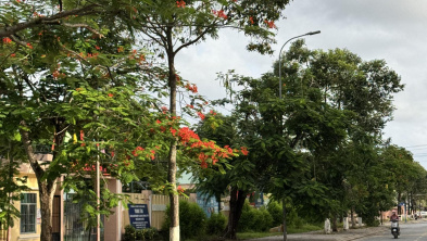 Ảnh đại diện