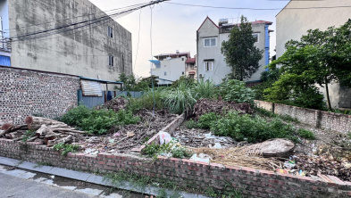 Ảnh đại diện