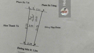 Ảnh đại diện
