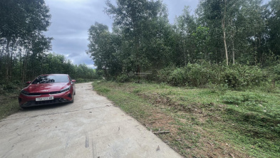 Ảnh đại diện