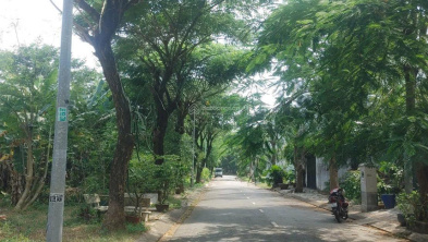 Ảnh đại diện
