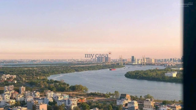Ảnh đại diện