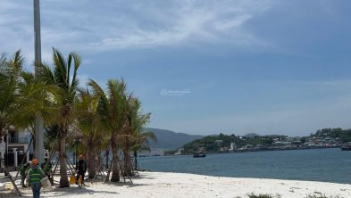 Ảnh đại diện