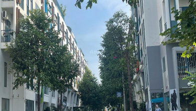 Ảnh đại diện