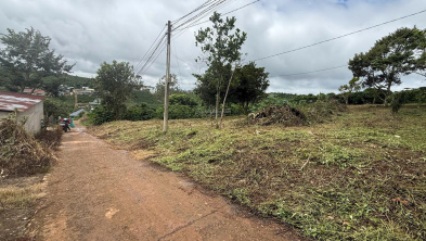 Ảnh đại diện