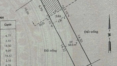 Ảnh đại diện