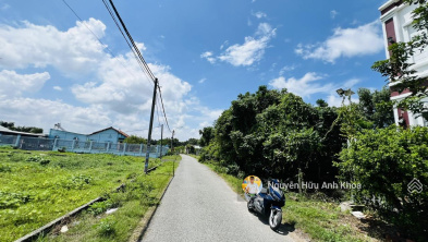 Ảnh đại diện