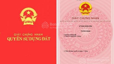 Ảnh đại diện