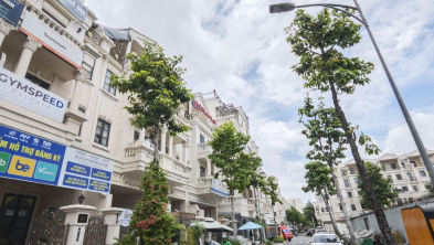 Ảnh đại diện